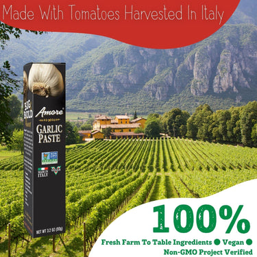 Amore Vegan Garlic Paste In A Tube - Non GMO Certified and Made In Italy (Pack of 1)